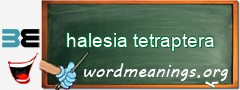 WordMeaning blackboard for halesia tetraptera